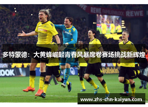 多特蒙德：大黄蜂崛起青春风暴席卷赛场挑战新辉煌