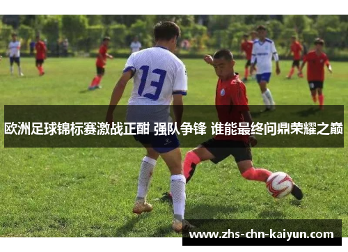 欧洲足球锦标赛激战正酣 强队争锋 谁能最终问鼎荣耀之巅